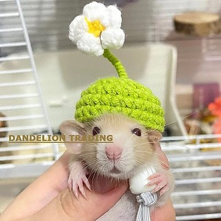 [DANDELION] Mũ Hamster Mũ Vẹt Dệt Kim Mũ Thú Cưng Thằn Lằn Mũ Rắn Thú Cưng Mũ Phong Cách Mới Dệt Tay Hoạt Hình Hình Ếch Mũ Trang Trí Phụ Kiện Ba Chiều Dễ Thương Cho Bé Mini Mũ Thú Cưng