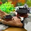 Tượng nhỏ Pavilion Cây cảnh Nament Trang trí sân vườn Tượng phong cảnh vi mô Mô hình Gazebo Zen Đồ dùng sân vườn Sân Roery VN