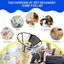 Vòng cổ hình nón thú cưng linh hoạt hàng đầu cho thú cưng lớn Chăm sóc vết thương phẫu thuật trong suốt Bảo vệ cổ chống dính để phục hồi vết thương