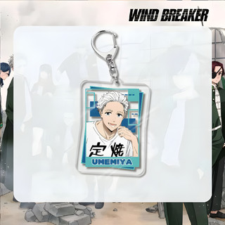 Anime WIND BREAKER Sakura Haruka Suo Hayato Acrylic Key Chain Keychains for Accessories Bag Pendant Keyring Jewelry Fans