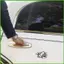 Ốp Lưng Dán Cho Ô Tô Thẩm Mỹ Ốp Lưng Decal Ngộ nghĩnh Ốc Miếng Dán Chống Thấm Nước Dễ Thương Đa Năng Xe Tải wipqsvn