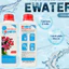 Chai Nước dưỡng hoa Bambi Ewater 600ml Giúp Hoa Tươi Lâu Đến 20 Ngày