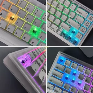 Btsg 20 Chiếc Trong Suốt PC Keycaps Bàn Phím Cơ Keycaps Trống Đèn Nền Keycaps Cho Công Tắc Bàn Phím Cơ