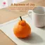MJnmc Sáng Tạo Cam Bóp Đồ Chơi Thực Tế Trái Cây Mềm Squishy Giảm Căng Thẳng Đồ Chơi Cảm Giác Cho Trường Học Trang Trí Văn Phòng Mới