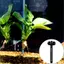 Dây buộc cáp hút bể cá hàng đầu có độ bám dính chắc chắn cho dây đính kèm 10 chiếc