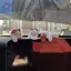 HFTOY 3pcsputer Màn Hình Đồ Trang Trí Nhỏ Để Bàn Búp Bê Mèo Thỏ Trang Trí Nhà Luy Mèo Nhựa Hình Phụ Kiện Gia Đình ~