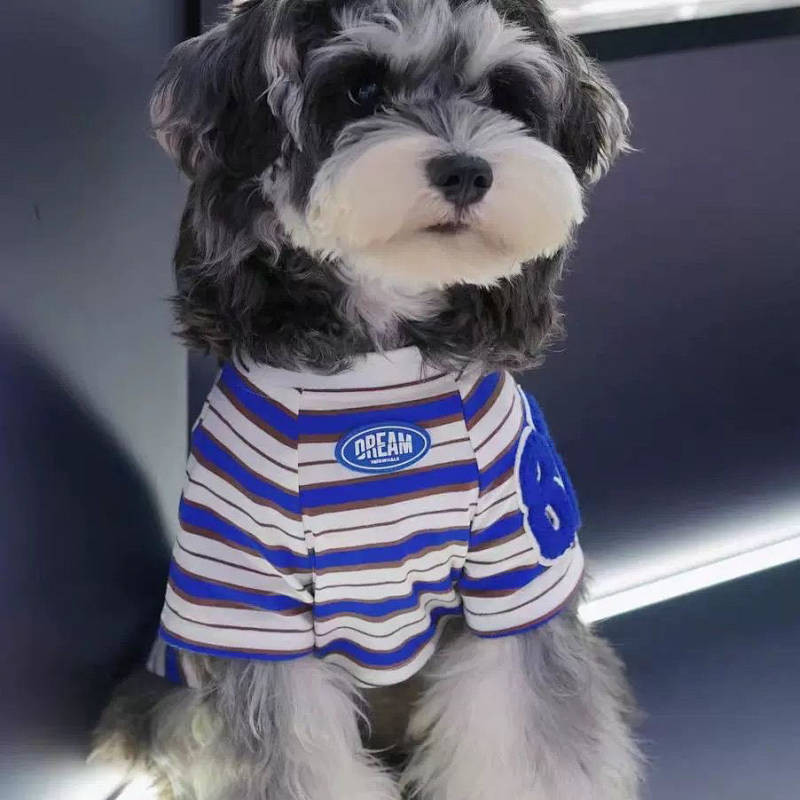 【Ready Stock】 Trendy Brand Dog Clothes Spring and Summer Thin Cat Jarre Aero Bull Bichon Schnauzer Teddy Striped New Striped Clothes VaD8