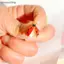 AA Dễ Thương Bọ Rùa Thổ Cẩm Dành Cho Nữ Unisex Opal Đỏ Men Bọ Cánh Cứng Côn Trùng Đảng Thổ Cẩm Pin Quà Tặng VN