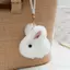 # HB # Móc khóa thỏ sang trọng di động dễ thương Mini Bunny Fur Hairball Mặt dây chuyền Túi treo đồ trang trí Chìa khóa ô tô Quà tặng.