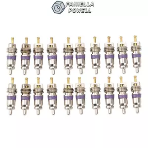FANIELLAPOWELL 20 lõi van điều hòa ô tô, lõi van điều hòa ô tô đa kích cỡ đa năng, thay thế lõi van chống ăn mòn