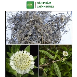 Cây nhọ nồi hay con gọi là cỏ mực JINDO 1kg tác dụng hỗ trợ tốt tóc và tốt cho thận