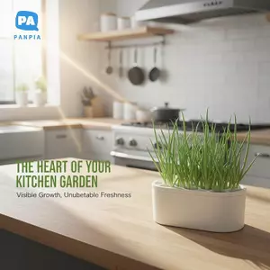 Chậu cây thủy canh hiện đại có hồ chứa nước Thích hợp cho không gian văn phòng trong nhà VN