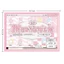 GETVOW Sticky Note Material Pack, Fan Journal M5 Mini Mechanism DIY Craft Book, Sổ tay trang trí In hai mặt Giấy dán trẻ em Đồ chơi thủ công