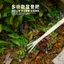 Cây cảnh bằng thép không gỉ Chuyên dụng Rake Làm vườn Rake Handmade Cây cảnh dài trồng hai mục đích Đất nới rộng Ép Cấy móng vuốt gấu