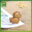 SWEET Đồ chơi ngựa chạm khắc bằng gỗ thủ công 2026 Tượng ngựa hoàng đạo năm mới Ngựa béo mang lại may mắn Trang trí nhà & văn phòng & văn phòng n