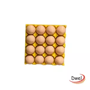 DWEL Khay Trứng Nam Châm Tủ Lạnh, Nam Châm Tủ Lạnh Trứng Có Thể Tái Sử Dụng Từ Tính, Thiết Kế Sáng Tạo Hình Trứng Giá Đỡ Ảnh Nam Châm Bảng Văn Phòng