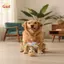Quả bóng mèo tự quyền làm giàu ngăn ngừa sự nhàm chán Đồ chơi nhét tai tương tác chắc chắn để tập thể dục cho mèo trong nhà [VN]