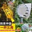 Yangmei Fruit Picker Jujube Persimmon Cao Cấp Có Thể Thu Vào Trái Cây Chọn Kéo Trái Cây Quả óc chó Picker Dụng Cụ RVJH