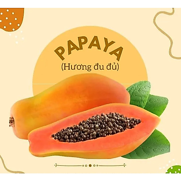 HƯƠNG ĐU ĐỦ (PAPAYA FR - VN)