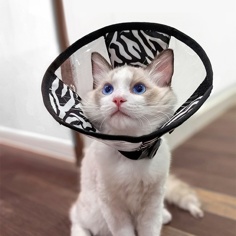 HamshMoc Cổ áo Pet E trong suốt có thể điều chỉnh hình nón mềm có thể gập lại để bảo vệ vết thương