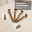 4 Miếng Mũi Nhọn Piano Caster Vít Countersunk Vít