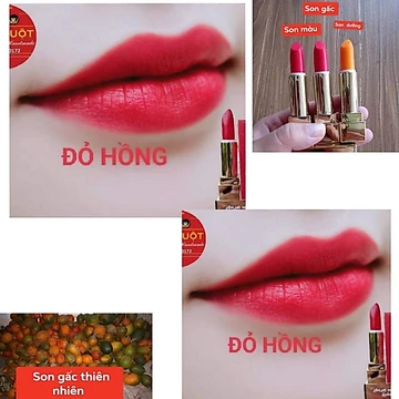 son lì son gấc thiên nhiên và son kem nhung lì ( mua 2 cây tặng 1 sondưỡng kem có màu nhẹ )