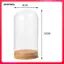 Clear Dome Cloche Kính Hiển Thị Vòm Terrarium Đế Bằng Gỗ Hoa Hộp Đựng Hàng Thủ Công Lọ Giá Đỡ Thích Hợp Cho Để Bàn Trang Trí Sự Kiện