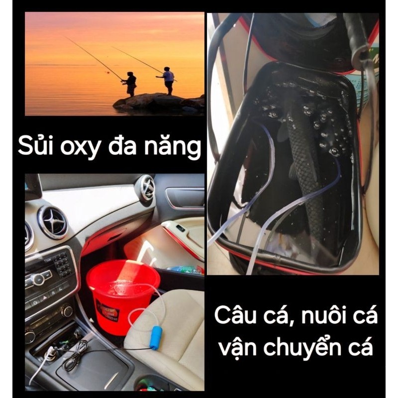 Máy Sủi Oxy Mini USB Cho Bể Cá Cảnh - Kèm Dây Và Đá Sủi, Hoạt Động Êm Ái