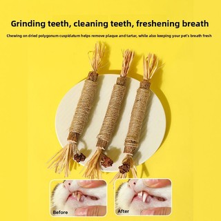 Cat Molar Stick Self-Happy Boredom Công cụ tiện dụng