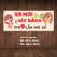 EM MỚI 9 LẦN MỚI ĐỖ, Em Mới Lấy Bằng, Tập Lái, Em Lái Mới Xin Thông Cảm, Tem Dán Xe Ô Tô - 3168