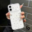 Ốp Lưng Cho IPhone 11 13 17 15 16 12 14 Pro Max 16 15 Plus 17Air Ốp lưng siêu mỏng mờ cao cấp Silver Tiny Star