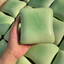 2026 Mới Lạ Mềm Mô Phỏng Thực Phẩm Bóp Công Cụ Phát Hành Jasmine Bánh Mì Nướng Bánh Mì Bóp Squishy DIY Giải Nén Chậm Phục Hồi Ướt Mềm Mại