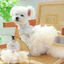 Đầm chó con thời trang thêu viền tinh tế – Váy cưới công chúa cho chó mèo Đồ dùng trang điểm thú cưng cho những dịp đặc biệt Quần áo thú cưng ren mịn