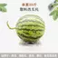 Dày Dưa Hấu Khay Bảo Quản Thớt Dưa Khay Cantaloupe Dưa Dưa Khay Vỉ Nhựa Dưa Thảm Bảo Quản Khay AAJ1