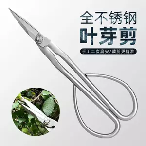 Tất cả các loại kéo làm vườn bằng thép không gỉ Lá Bud Shears Tender Bud Shears Sắp xếp hoa Cây cảnh cành lá Kéo cắt tỉa cành dày Thanh dài