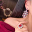 Hàn Quốc Hoa Zircon Tua Rua Ánh Sáng Sang Trọng Thanh Lịch Bông Tai Dài Bán Buôn