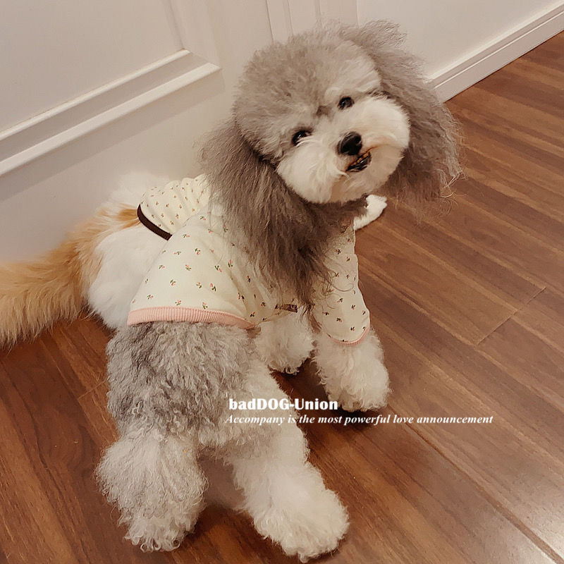 Quần áo thú cưng mùa hè Quần áo cho chó Bộ đồ Vest mèo Teddy Pomeranian