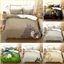 ST2 My Neighbor Totoro Suit Bộ chăn ga gối 3IN1 Bộ chăn ga gối Vỏ gối Phòng ngủ gia đình Có thể giặt được Ký túc xá TS2