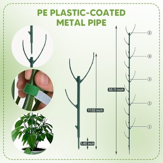 Có thể xếp chồng lên nhau Monstera Hỗ trợ cây trồng bằng nhựa có thể điều chỉnh Cọc cây leo Cây cột giữ cây Trellis cho cây nho trong nhà ngoài trời màu xanh lá cây 10 gói 1 Bộ 5 Gói