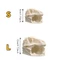 QEARY Nơi ẩn náu bò sát, Đồ trang trí phong cảnh khủng long in 3D không đều, Bộ xương khủng long Thực tế giống như thật Cá nhựa rỗng Nơi trú ẩn trang trí nhà cửa