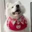 Hoạt Hình Dễ Thương Nước Bọt Khăn Ngày Lễ Túi Tròn Nhỏ Vừa Chó Lớn Samoyed Vàng Retriever Yếm