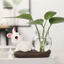 Linh hồn| Lucky Tre Planter Máy Tính Để Bàn Gấu Trúc Trang Trí Máy Tính Để Bàn Gốm Gấu Trúc Chậu Hoa Thủy Canh Nhỏ Dễ Thương Cho Bàn Làm Việc Trang Trí Văn Phòng Lý Tưởng Cho Vườn Gia Đình