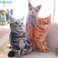 FUHUIOT Đệm 3D 30 / 50cm Trang Trí Nhà Bảo Vệ Cổ Ngủ Ngủ Chăn Ga Gối Ném