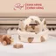 Mũ Bảo Vệ Đầu Cho Bé Royal Thiết kế Lưới Thấm Hút Thoáng Khí Bảo Vệ Đầu Chống Va Đập Cho Bé
