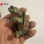 Động Vật Rùa Nhựa Treo Chậu Cho Sân Vườn Ban Công Sân Nhà Hộp Đựng Thực Vật Trang Trí VN