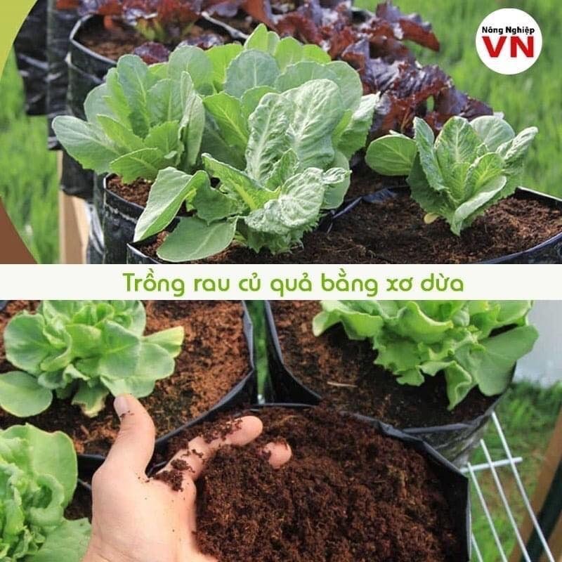 Mùn dừa đã xử lý ép bánh 600gram, đất hữu cơ trồng cây, mùn dừa trồng rau mầm, mùn dừa ươm hạt giống
