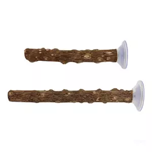 Hàng đầu Tương Tác Vẹt Chơi Đứng Tự Nhiên Cá Rô Cho Chim Nhỏ 2 Chiếc