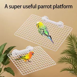Nền tảng chim ruồi hàng đầu Làm giàu cá rô đa chức năng cho vẹt Budgies