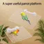 Nền tảng chim ruồi hàng đầu Làm giàu cá rô đa chức năng cho vẹt Budgies