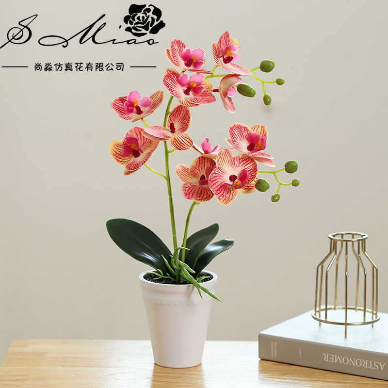 Chậu Hoa Lan Hồ Điệp Trắng Giả | Trang Trí Thanh Lịch Cho Nhà & Văn Phòng